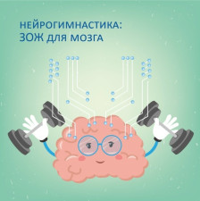 Нейрогимнастика для мозга